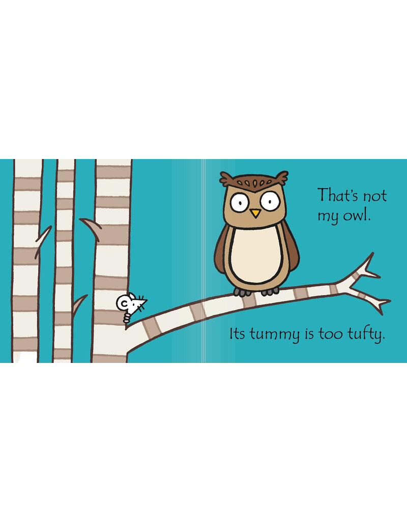 Usborne That's Not My Owl Board Book