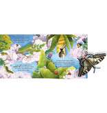 Usborne Pop-Up Butterflies Board Book