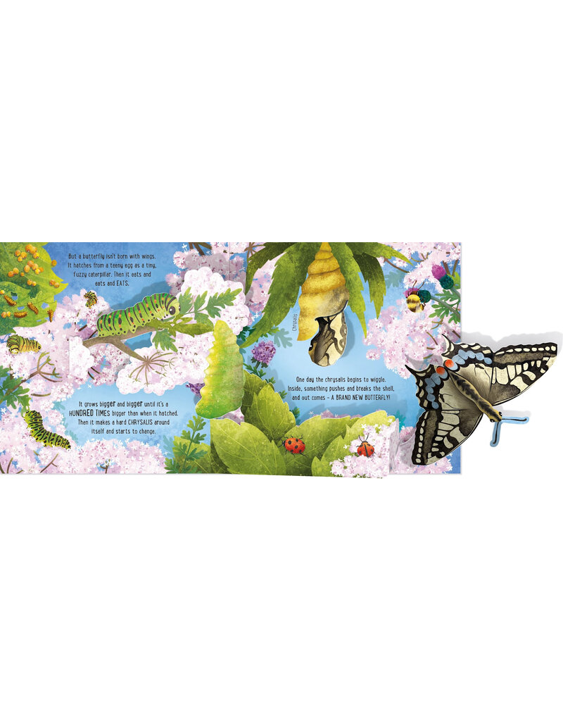 Usborne Pop-Up Butterflies Board Book