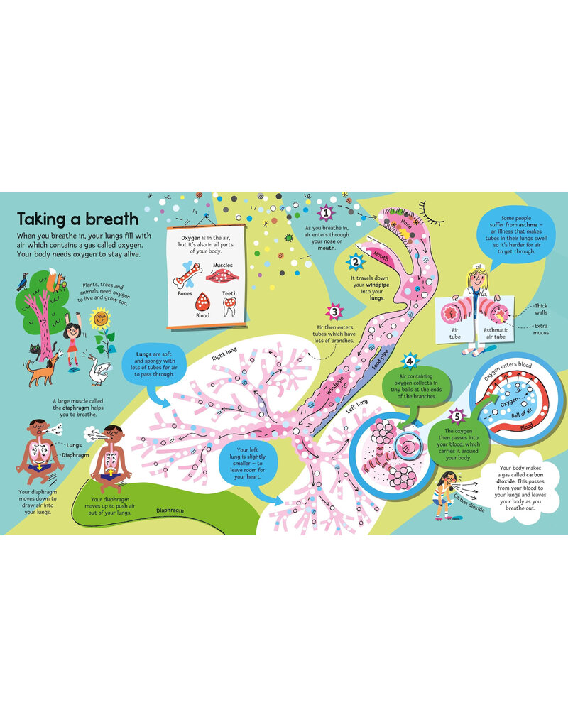 Usborne Big Book Of The Body