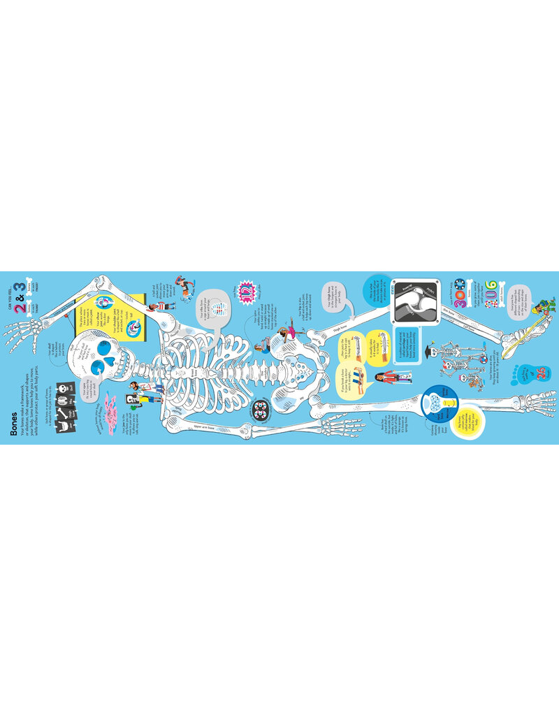 Usborne Big Book Of The Body