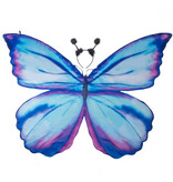 Great Pretenders Mythical Butterfly Soft Wings & HB, Size 4-6