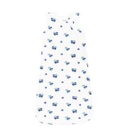 Kyte Baby Blueberry Sleep Bag 1.0