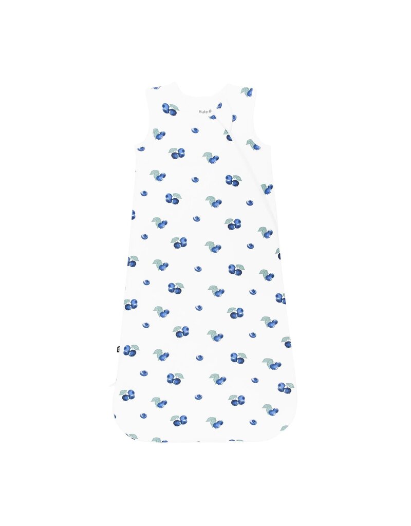 Kyte Baby Blueberry Sleep Bag 1.0