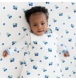 Kyte Baby Blueberry Sleep Bag 1.0