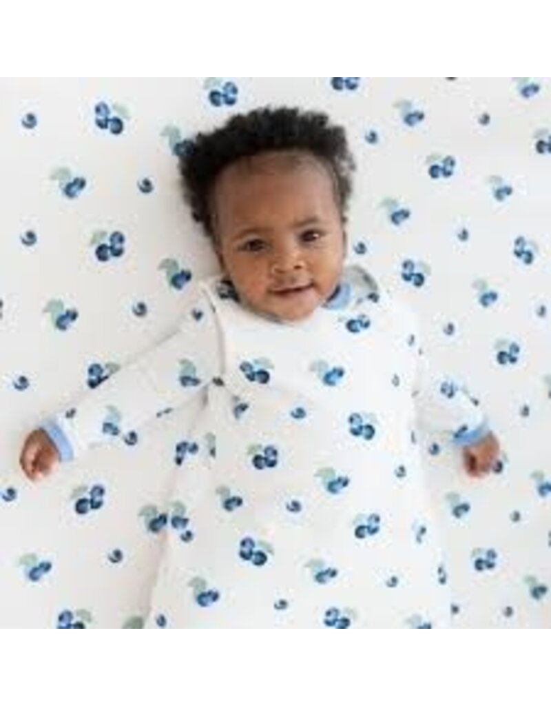 Kyte Baby Blueberry Sleep Bag 1.0