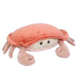 Mon Ami Shy Crab