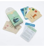 Random House Oliver Jeffers Go Fish: A 3-in-1 Card Deck 4y+