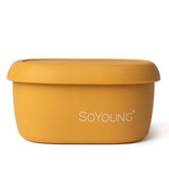 So Young Mustard Snack Box - Medium
