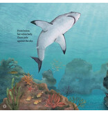 Random House Great White Shark