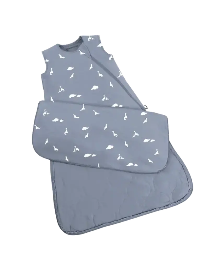 Bamboo Swaddle Sack,  NB-3m, Dino, 1 TOG