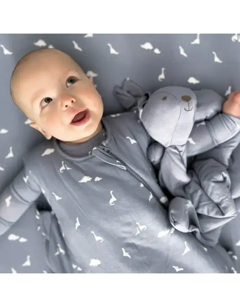 Bamboo Swaddle Sack,  NB-3m, Dino, 1 TOG