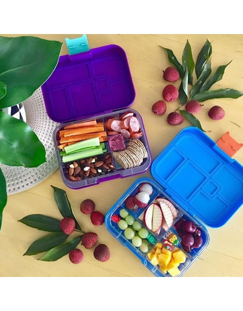 Maxi 6 Lunchbox - Blue Ocean (Blue/Orange)