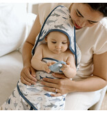 Loulou Lollipop Sharks Hooded Towel & Cloth