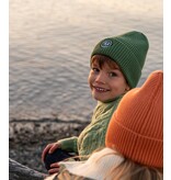Headster Iguana Green Ryan Beanie