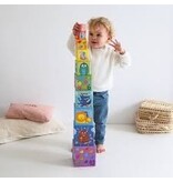 Djeco Rainbow Counting Nesting Blocks 12m+