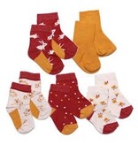 Roan Rouge Multi Patterned Socks 5pk
