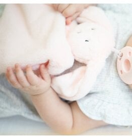 Bella Tunno Pacifier Buddy Betty the Bunny