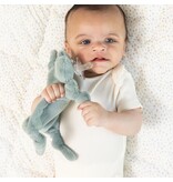 Bella Tunno Pacifier Buddy Freddie the Frog