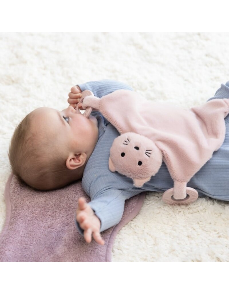 Bella Tunno Teether Buddy Charlotte the Cat