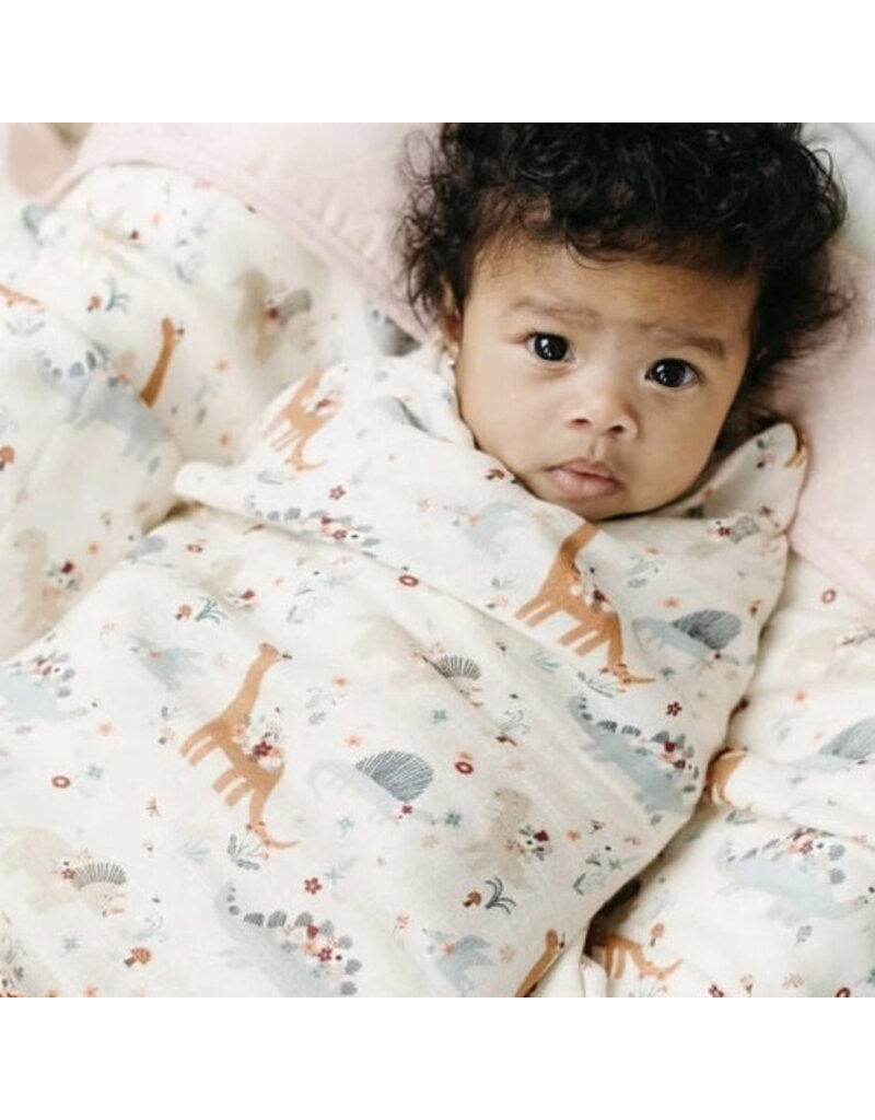 Loulou Lollipop Baby Dinomite Bamboo Swaddle