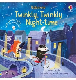 Usborne Twinkly Twinkly Night Time 6m+