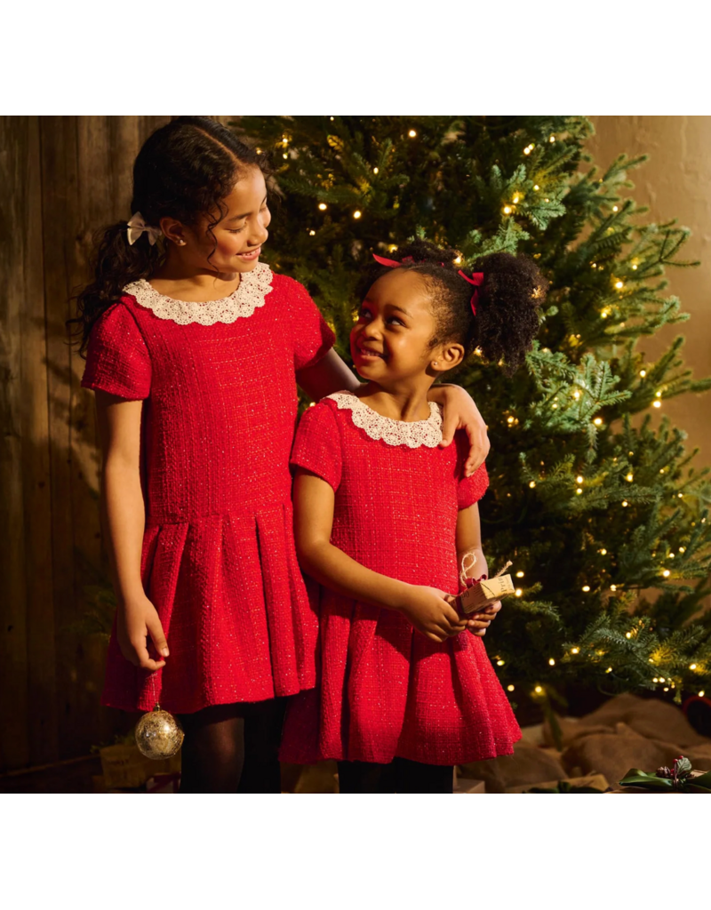 Hatley Sparkle Boucle Pleated Lace Collar Dress