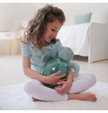 Cloud B Tranquil Turtle Rechargeable - Green