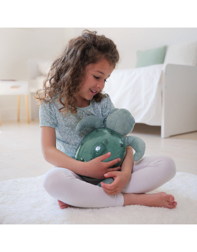 Cloud B Tranquil Turtle Rechargeable - Green