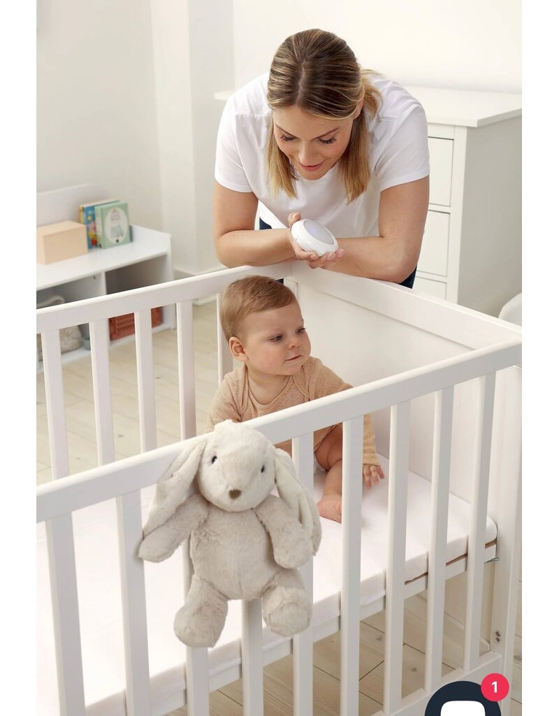 Cloud B LoveLight™Buddies - Billy Bunny