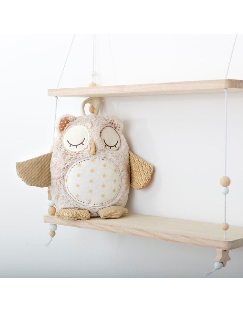Cloud B Cloud B Nighty Night Owl Smart Sensor