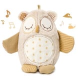 Cloud B Cloud B Nighty Night Owl Smart Sensor
