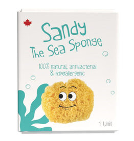 Sandy the Sea Sponge