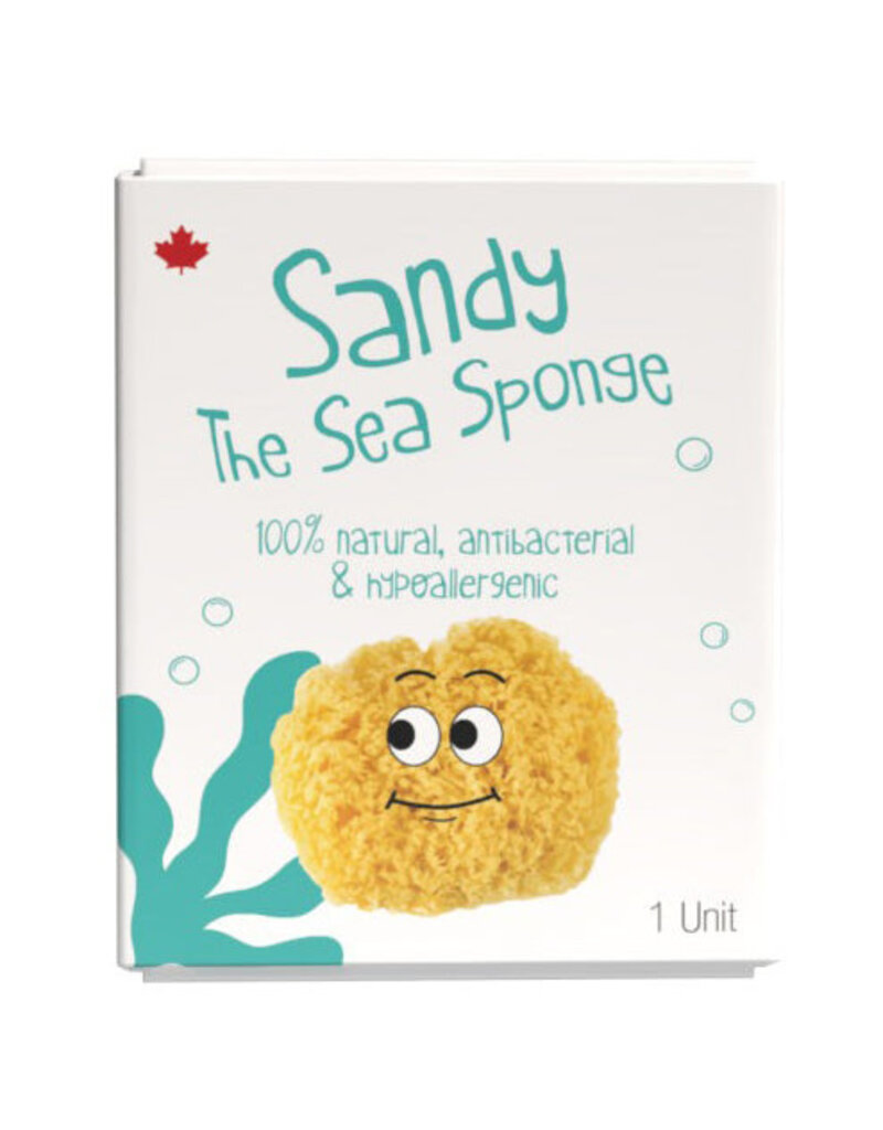 Sandy the Sea Sponge