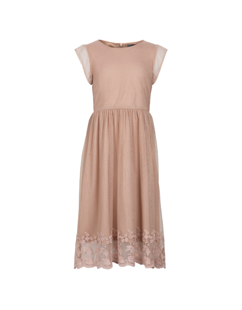 Adobe Rose Embroidered Dress