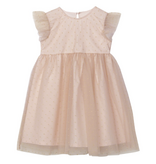 Rose Smoke Glitter Dress