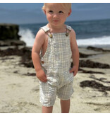 Me & Henry Galleon Overalls, Chambray Plaid