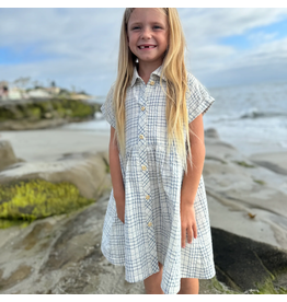 Vignette Heather Blue Plaid Seersucker Dress,Sizes: 3y, 4y