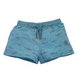Sharks Board Shorts