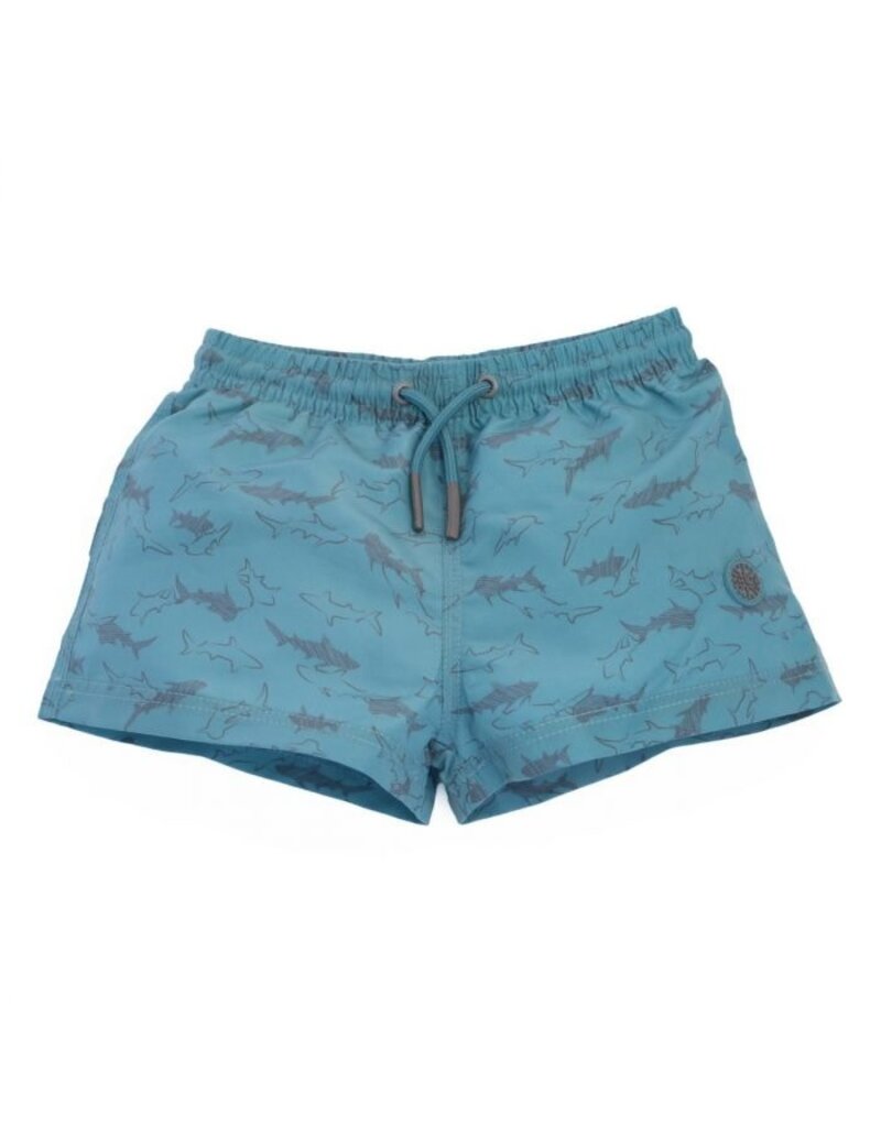 Sharks Board Shorts