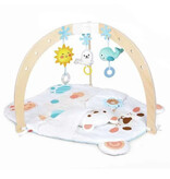 Hape Toys Snuggle Bear Activity Gym