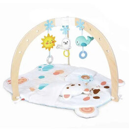 Hape Toys Snuggle Bear Activity Gym