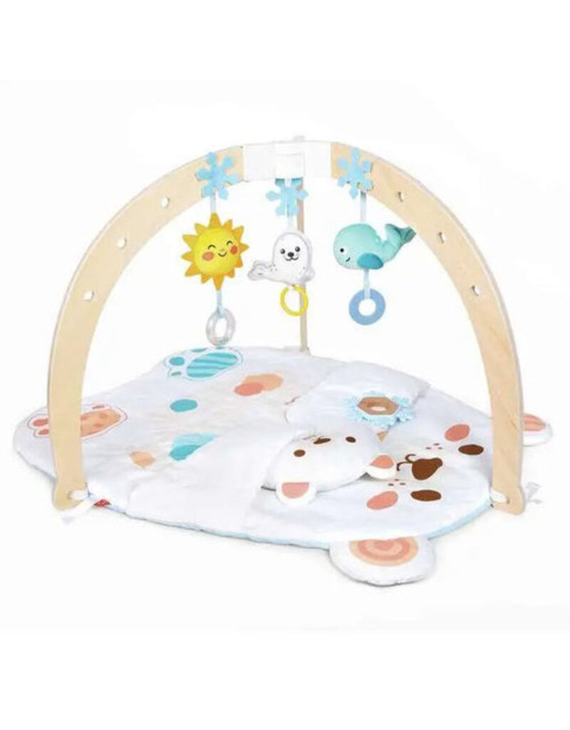 Hape Toys Snuggle Bear Activity Gym