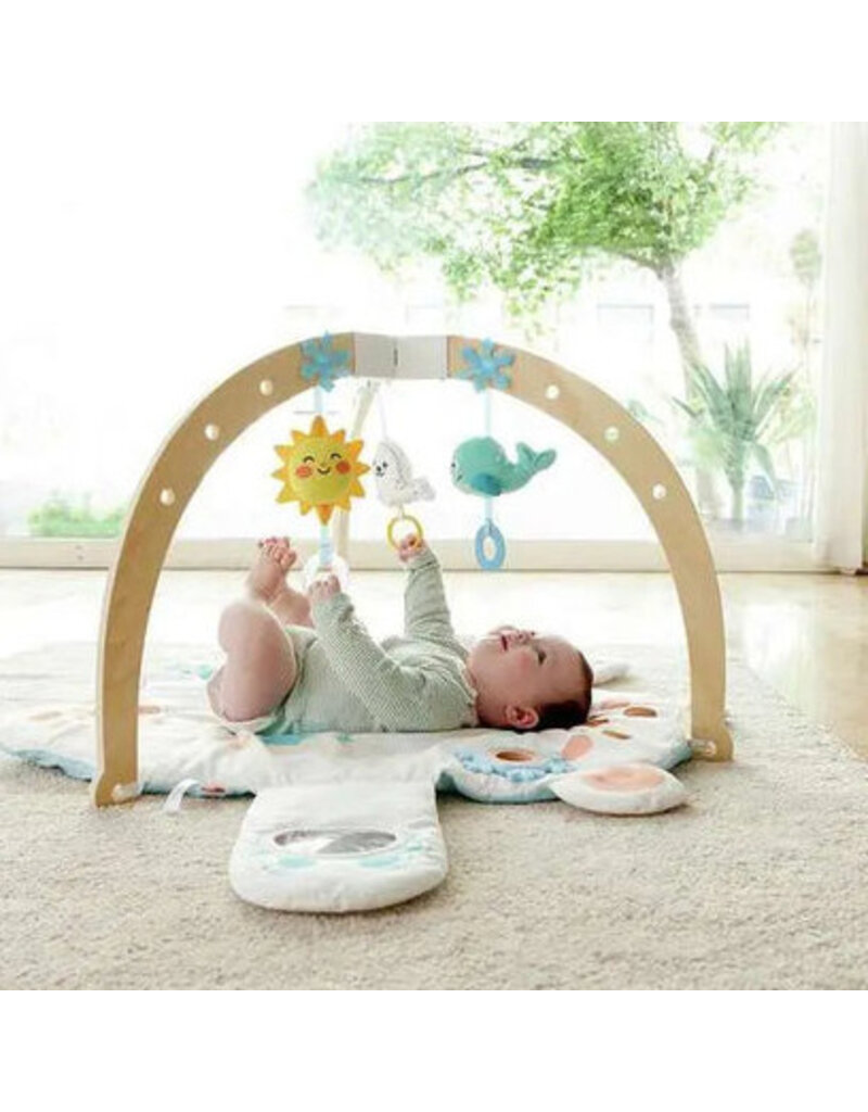 Hape Toys Snuggle Bear Activity Gym