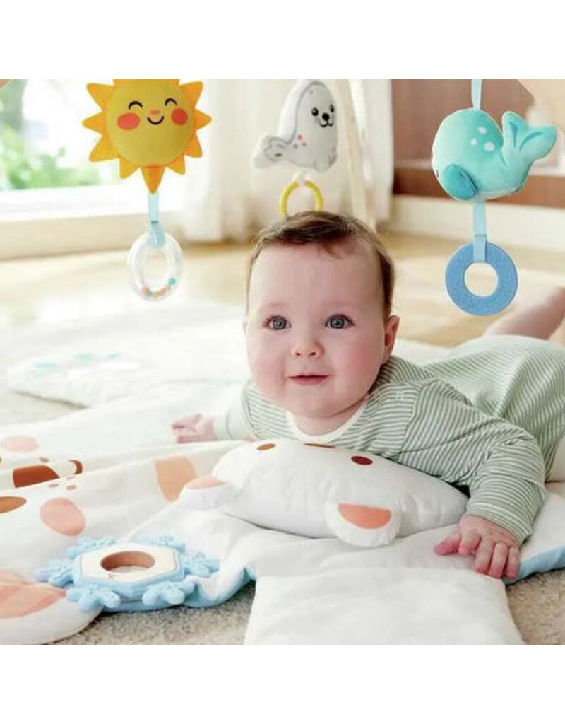 Hape Toys Snuggle Bear Activity Gym