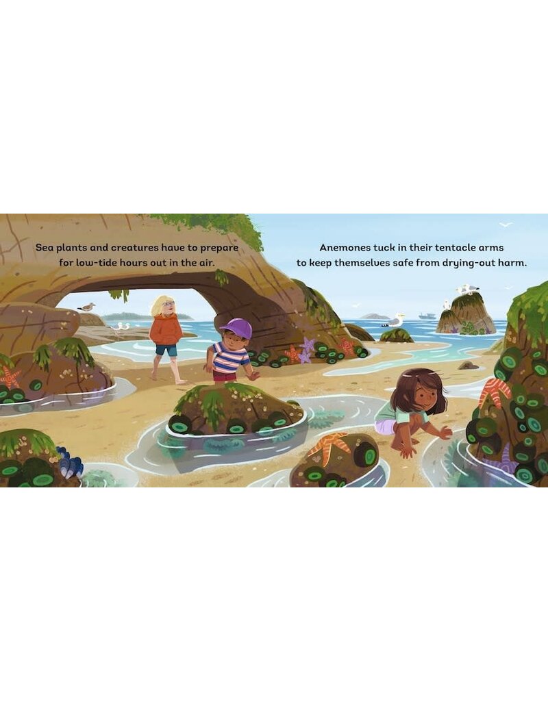 Random House Tide's Journey