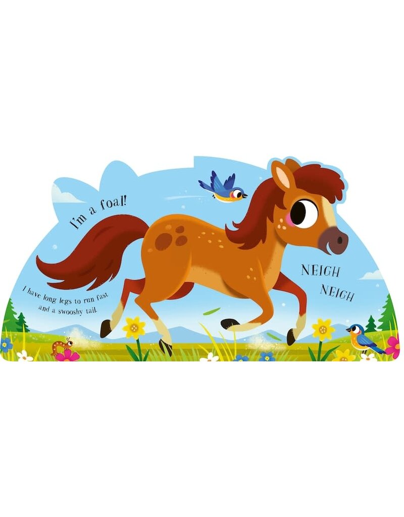 Random House I'm a Bunny