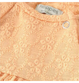 Noppies Peach Cobbler Embroidered Dress
