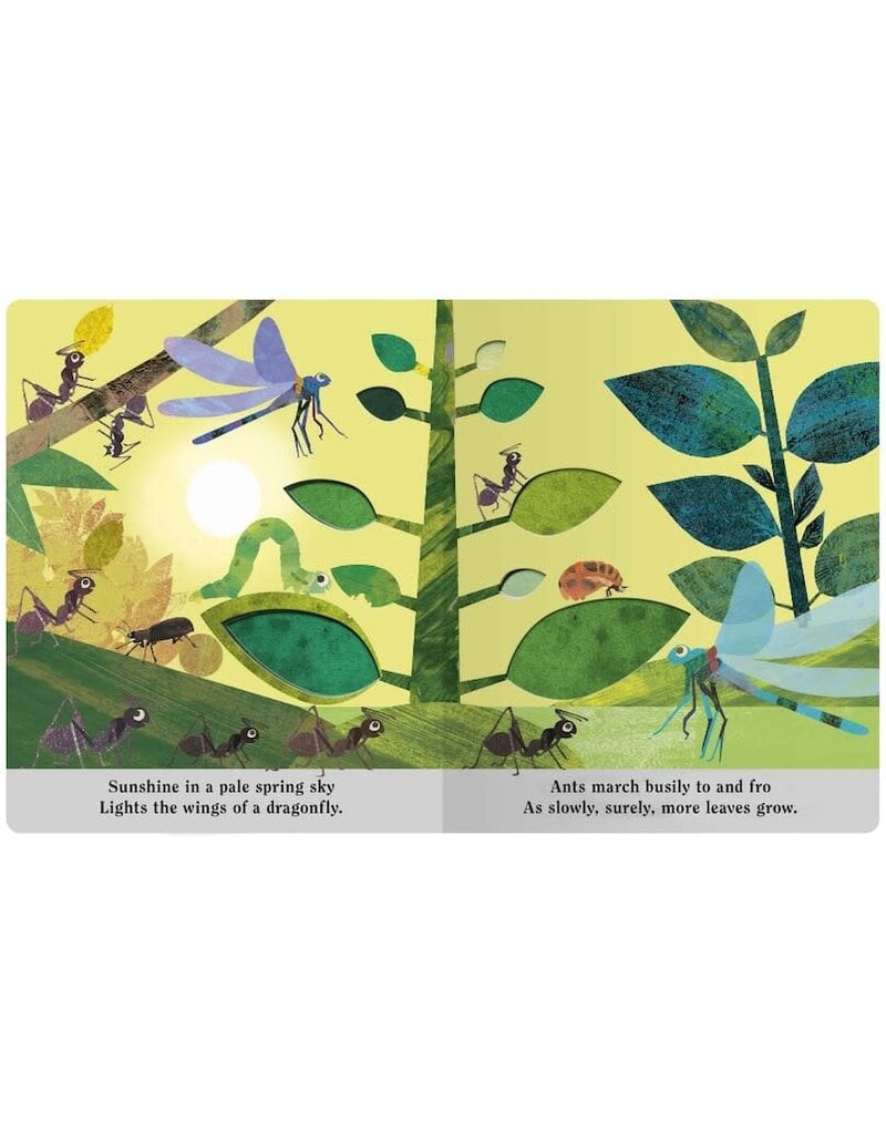 Random House Bugs: A Peek-Through Board Book