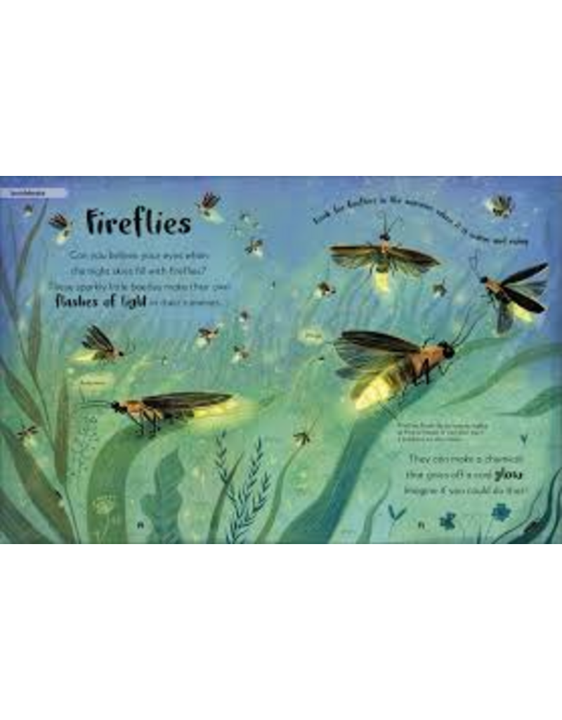 Random House The Bedtime Book of Nighttime Animals